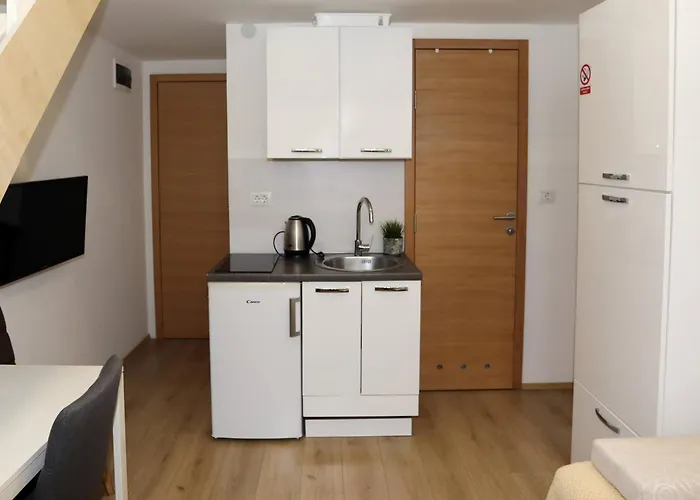 Appartement Pucee Downtown *